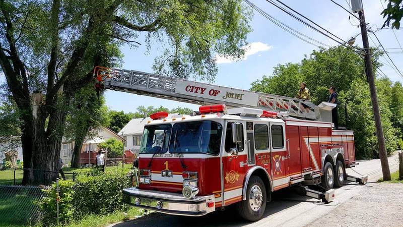 A team from the Joliet Fire Department uses a ladder truck to rescue a cat from a tree Wednesday.