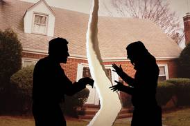 Domestic violence in Northern Illinois: A 2-part series: Why police say more women are being charged