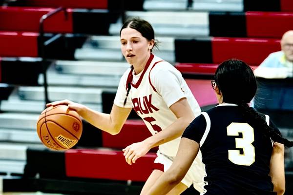 Jim Nugent, Sauk Valley Skyhawks take flight in first season