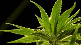 IDPH deems four new conditions eligible for medical cannabis treatment