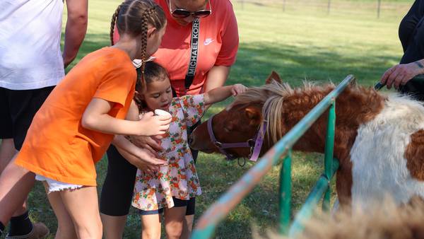 Photos: 2025 St. Anne Pumpkin Festival