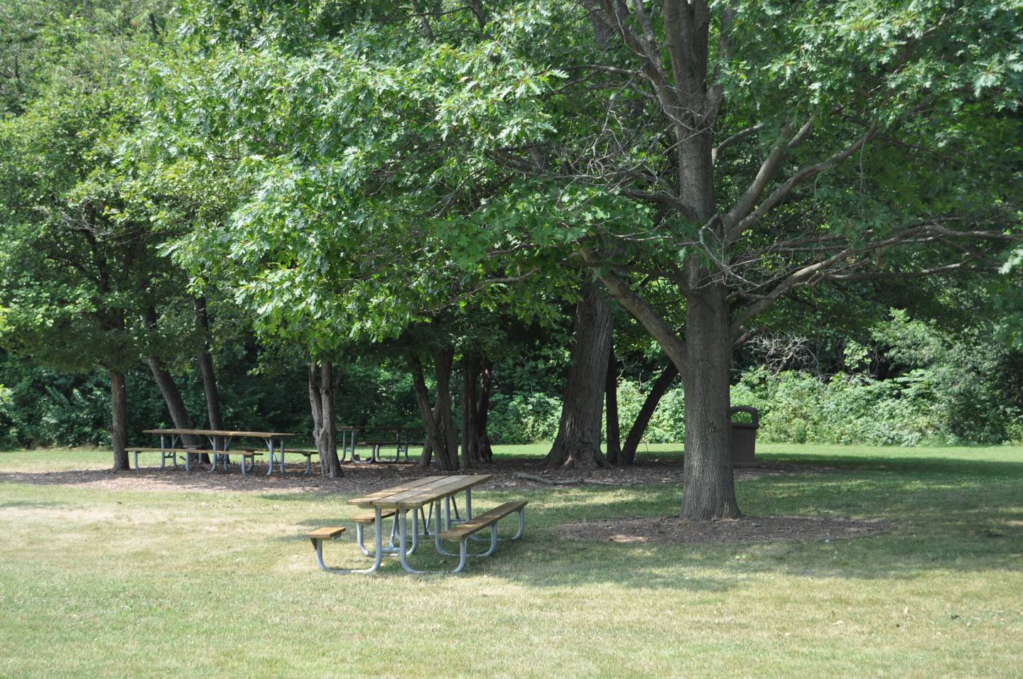 Put down your phone for Unplug Illinois Day on July 13 and head to the beautiful Messenger Woods Nature Preserve in Homer Glen for some fun field games. Each registered participant will receive a free hot dog, beverage and side from Lil’ Deb’s food truck.
