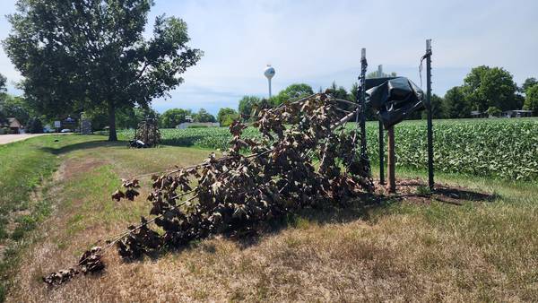 Putnam County Sheriff investigating $13,000 worth of tree damage in Hennepin