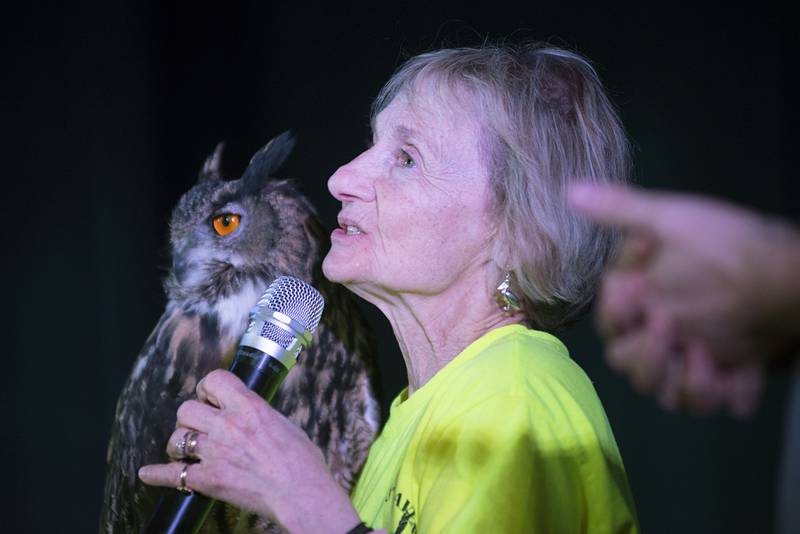 Karen Herdklotz, owner and founder of Hoo Haven, lets a group of visitors at White Pines Resort get a look at Denver, a eurasian eagle-owl that was rescued by the animal rehabilitation facility. The non-profit organization held a program Wednesday, April 13, 2022 at the resort in order to introduce the animals and their mission to kids and families.