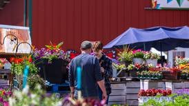Siegel’s in Crest Hill reflects on 35 years of ‘vibrant blooms’ as garden center closes down