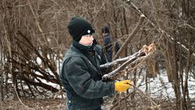 Birds take the spotlight at Will County forest preserve programs