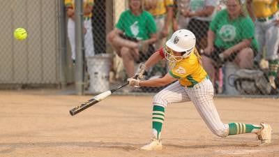 Providence cruises to 3A softball sectional win: The Herald-News Tuesday Roundup