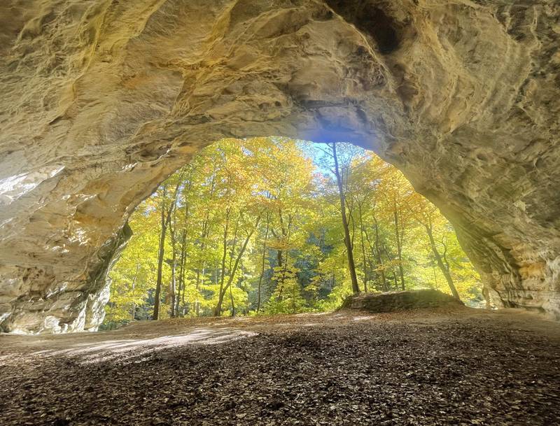 The fall colors shine through Council Overhang at Starved Rock State Park on Wednesday, Oct. 19, 2022 in Utica.