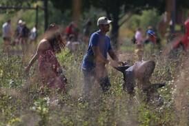 Plainfield kicks off fall season with Autumn Family Fun Fest