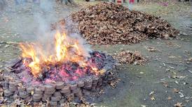 Joliet reminds residents of rules on leaf, yard waste disposal