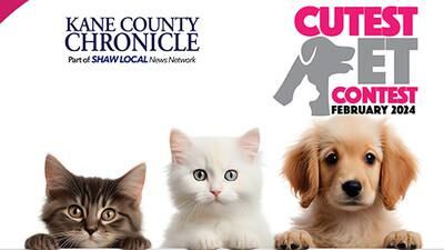 Vote in the February 2024 Kane County’s Cutest Pet Contest