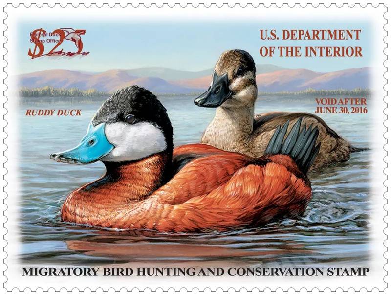 View duck stamp artwork at Plum Creek Nature Center during an exhibit that runs through Feb. 22, 2026