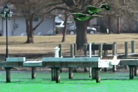 ShamROCKS the Fox outdoor events at Miller Point Park canceled Sunday because of snow