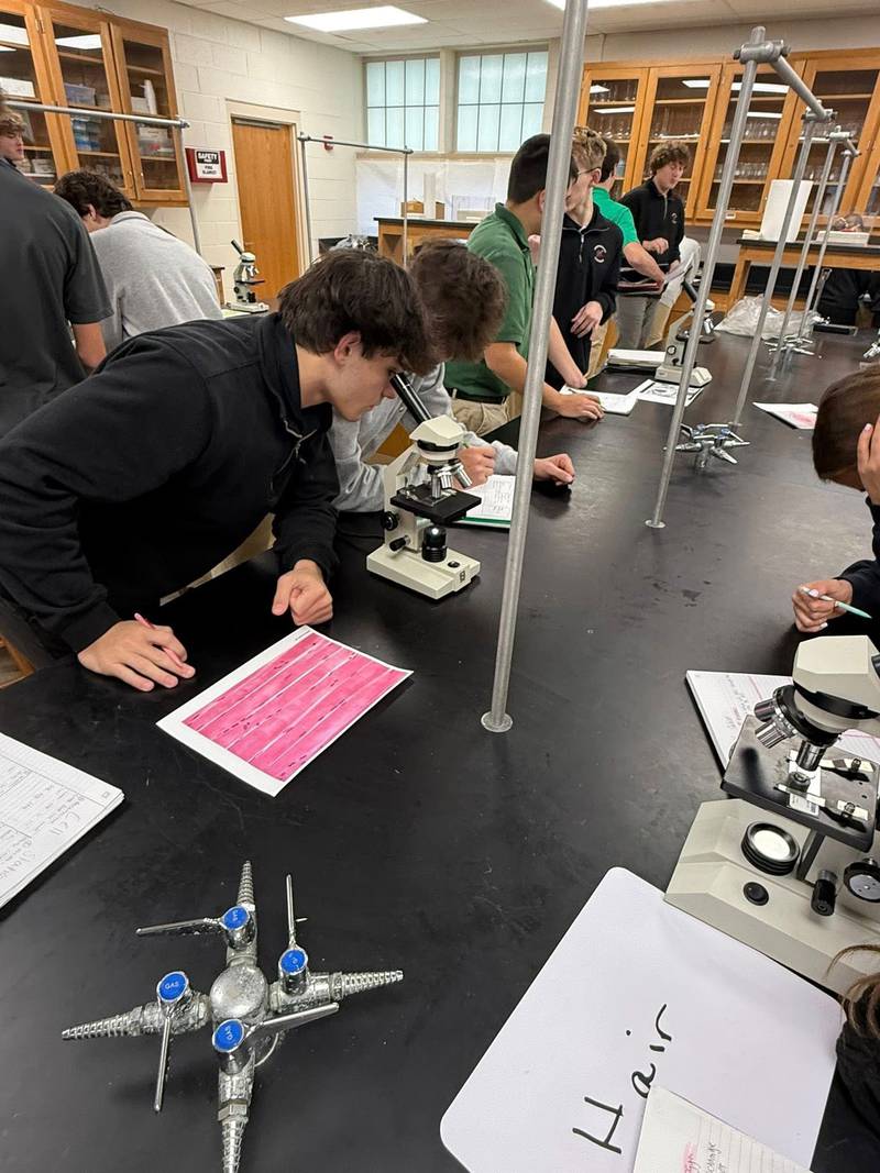 Providence Catholic High School - Providence Catholic High School Named to Advanced Placement School Honor Roll