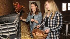 Farm-fresh eggs? How about a wedding? Lake Villa farm expands with chapel
