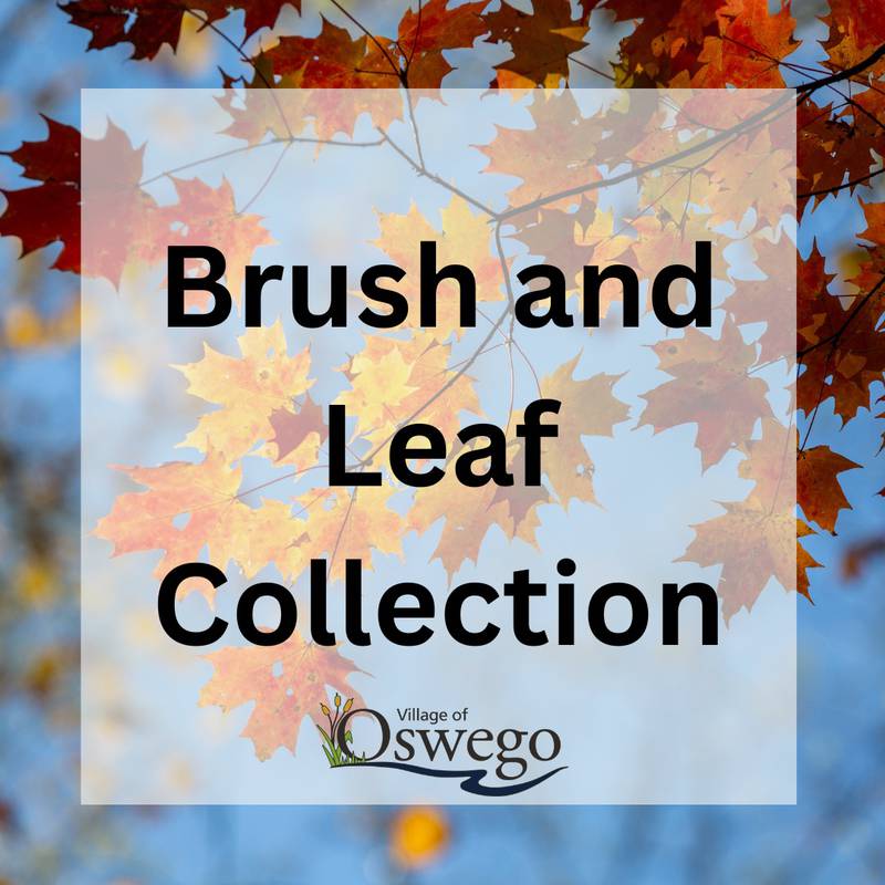 Oswego has announced the dates for the village’s final brush collection and first leaf pickup.