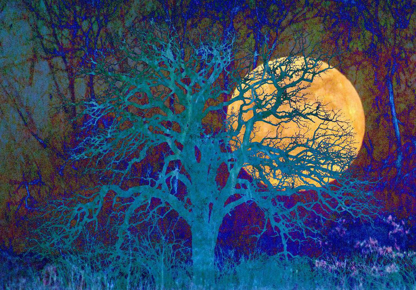 Cold Moon by Kristin Ashley, Photo Montage