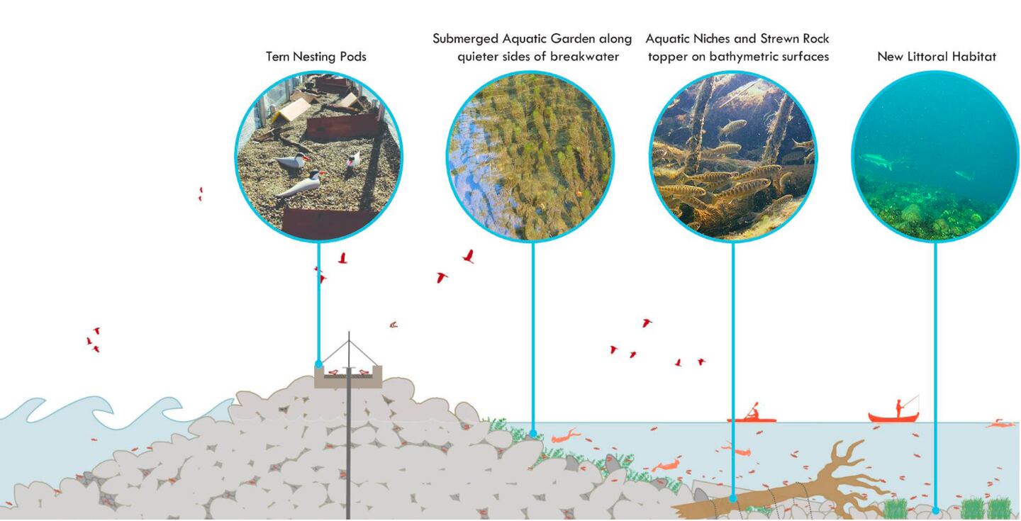 The new breakwater structures at Illinois Beach State Park will create new habitats for native species including tern nests and aquatic gardens.