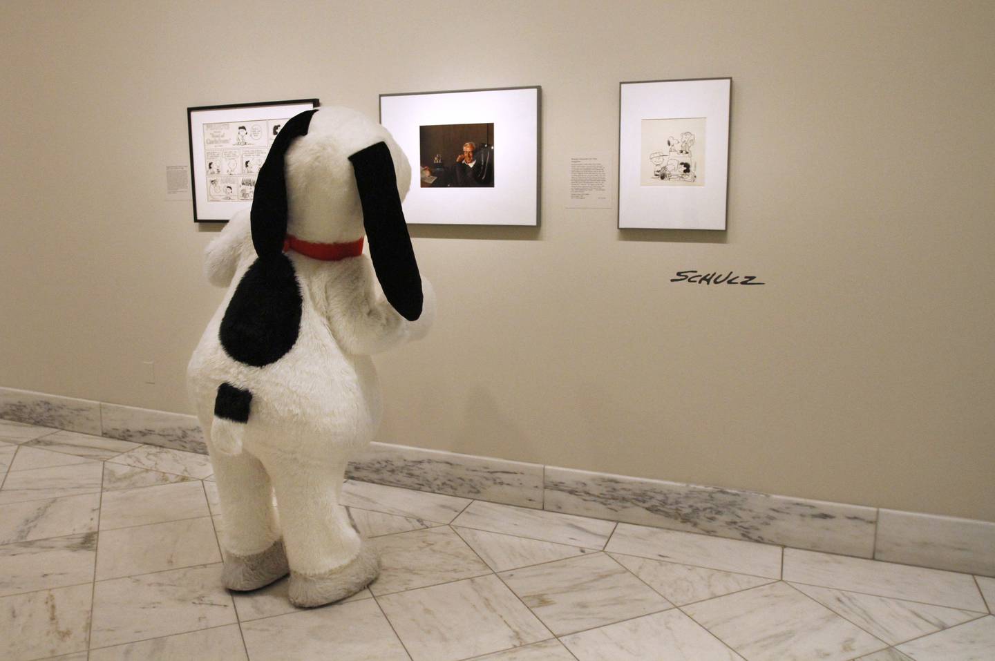 The character "Snoopy" looks at a portrait of Peanuts creator Charles M. Schulz, by photographer Yousuf Karsh, during its installation in the National Portrait Gallery in Washington on Oct. 1, 2010. To the left and right of the portrait are drawings of Schulz's Peanuts characters.