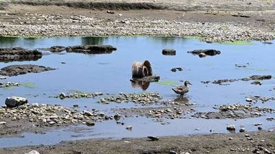 Removal of Carpentersville Dam on Fox brings ‘unexpected challenges’ as water level drops, pipes exposed 