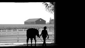 Insurance plans could soon be required to cover hippotherapy in Illinois