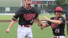 IHSA State Baseball Capsule Previews