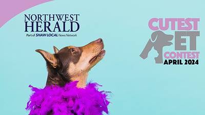Vote in McHenry County’s April 2024 Cutest Pet Contest