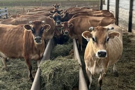 Raw milk proponents push for fewer restrictions on Illinois sales despite state health warnings