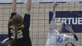 Girls volleyball: Presenting The 2024 Times All-Area Team