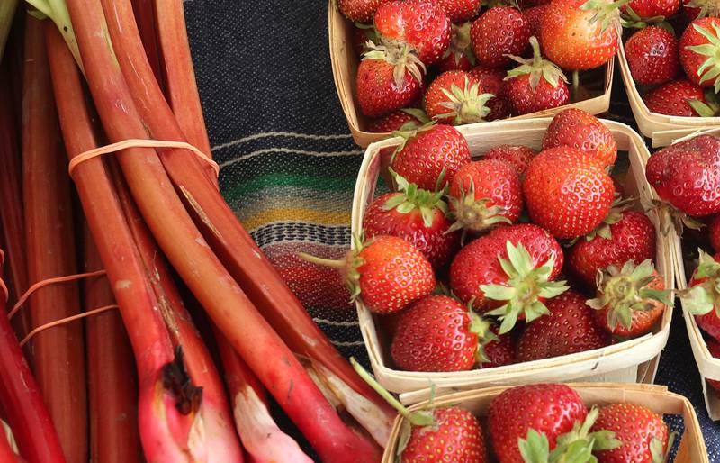 Rhubarb and strawberries at the Stojan Family Farm booth out of Maple Park Tuesday, June 7, 2022, at the Sycamore Farmers Market on the lawn of the DeKalb County Courthouse.