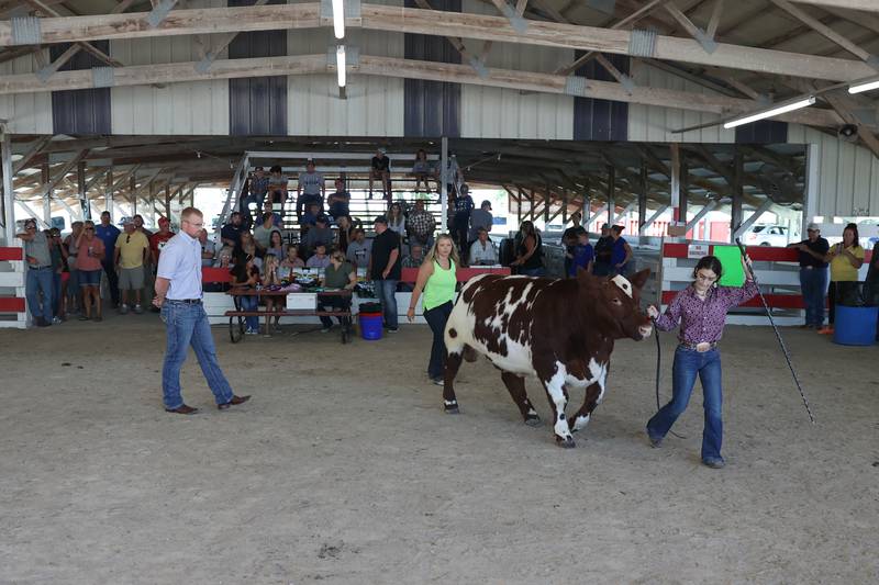 Addison Frye walks her steer, Cabo, for judging in the All Other Breed competition at the Grundy County 4-H Fair on Sunday, July 30 in Morris.