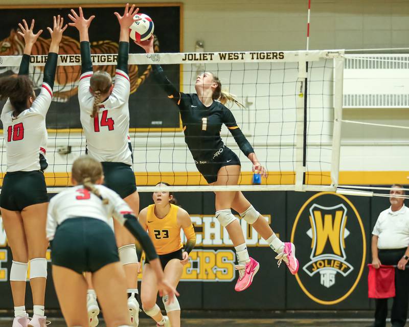 Joliet West's Ava Grevengoed (1) soarss for a spike during regional final volleyball match between Bolingbrook at Joliet West.  Oct 26, 2023.