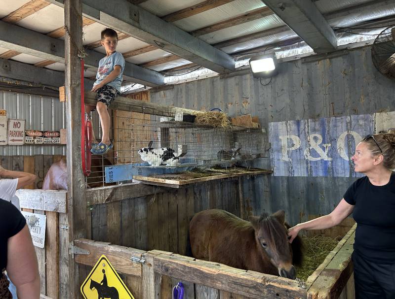 Jude Bruns, 8, sits on a crossbeam in one of his family's barns as he talks with visitors about his pony at the Happily Homegrown homestead during the Ogle County Farm Stroll on Sunday, Oct. 12, 2025. The Bruns family also raise pigs, cows, and chickens and grow fruits and  vegetables on their 12-acre homestead.