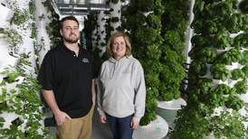 Photos: New indoor farm in Fox Lake