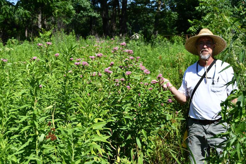 Floyd Catchpole (two photos), land management program coordinator for the Forest Preserve District, walks through Kankakee Sands Preserve, to assess the success of recent restoration efforts.