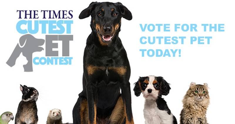 The Times cutest pet 2022