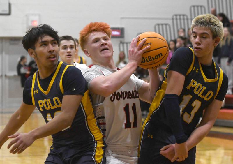 Forreston's Connor Politsch (11) drives the lane as Polo's Henry Donaldson (12) and Eli Perez (13) defend on Saturday, Dec. 13, 2025 at the 64th Annual Forreston Holiday Basketball Tournament held at Forreston High School.