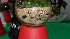 Down the Garden Path: Candy jar terrariums a nostalgic take on a holiday gift