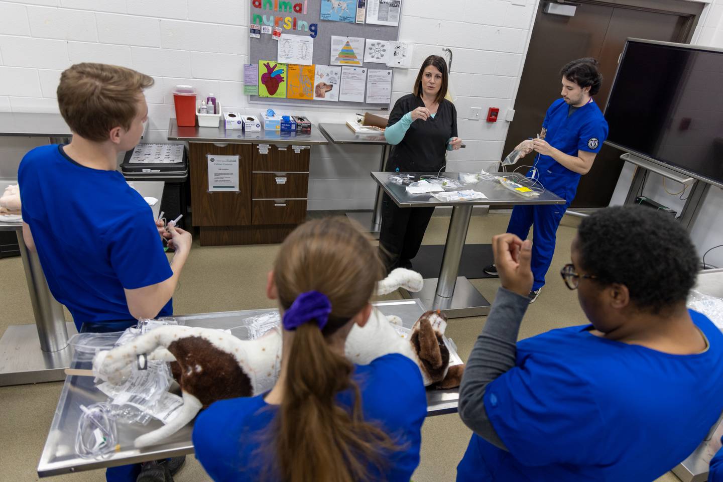 Students work on a plush dog as Abby Panozzo, veterinary medical technology program director and associate professor,  gives instructions at the Joliet Junior College Vet Tech program.