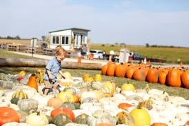 Fall fun is here: Find the perfect pumpkin at these northern Illinois farms