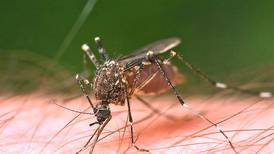 Bird in Johnsburg tested positive for West Nile Virus