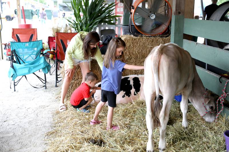 Jessica Boyer of Bartlett pets calves with her kids Elaine, 5, and Garrett, 3, during the 156th Annual Kane County Fair on Thursday, July 17, 2025 in St. Charles. The fair runs through Sunday, July 20, 2025.