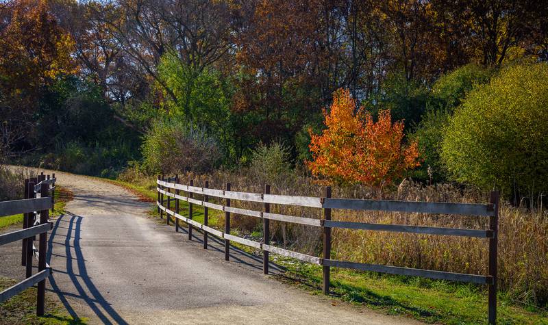 The Lake County Forest Preserves Board of Commissioners approved the 2025 fiscal year budget during their Oct.  9 meeting.