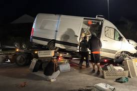 Geneva pet rescue van crashed in Indiana with 63 animals on board. Here’s how locals came to the rescue