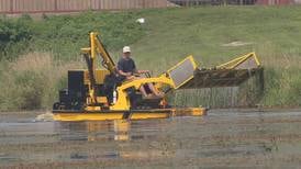 ‘Where’s Shrek?’: Ottawa City Council to reevaluate I & M Canal project