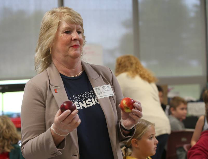 Susan Glassman nutrition and wellness educator at the La Salle Illinois Extension office, distributes apples for the Great Apple Crunch on Thursday, Oct,. 12, 2023 at Northwest School in La Salle. The Great Apple Crunch is an annual celebration of fresh, local apples on the second Thursday of October during National Farm to School Month. The apples were donated by Boggios Orchard and Produce.