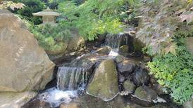 11 destinations for exciting day trips from northern Illinois this spring