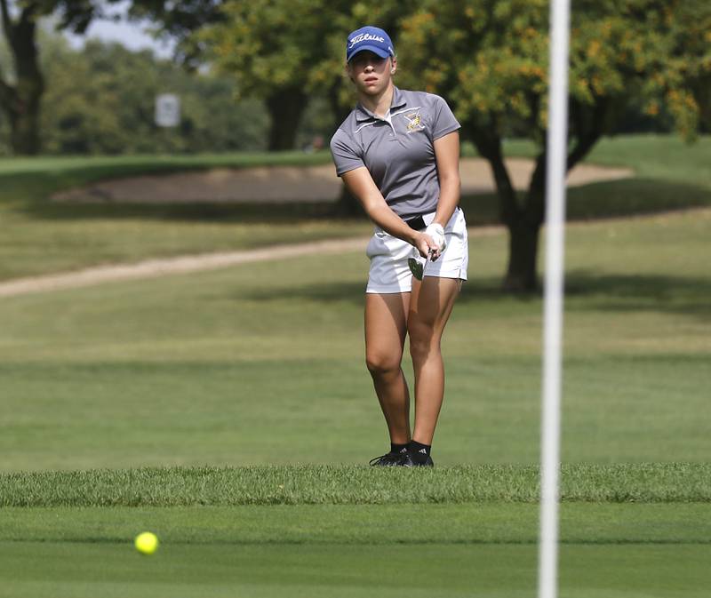 Jacobs’ Natalie Zimmerman watches her chip onto the tenth green during the Fox Valley Conference Girls Golf Tournament Wednesday, Sept. 20, 2023, at Crystal Woods Golf Club in Woodstock.