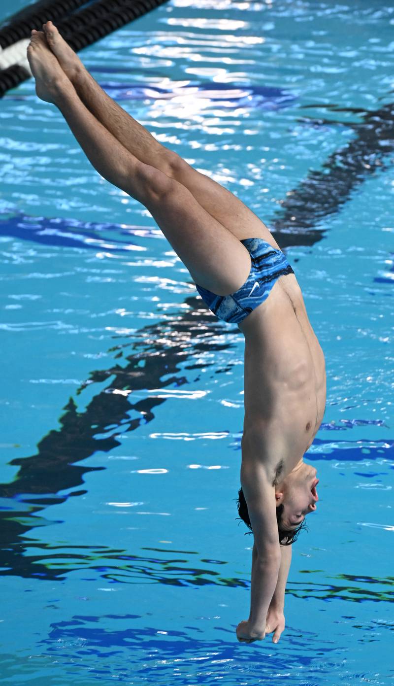 Nazareth’s Cooper Kosanovich dives during the boys state swimming and diving finals at FMC Natatorium on Saturday, Feb. 24, 2024 in Westmont.