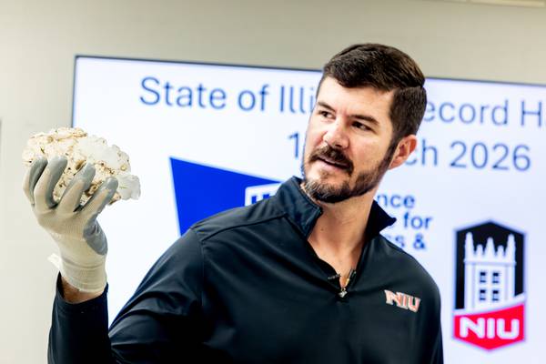 Hail from Kankakee storm likely breaks state record: ‘Size of a mini Nerf football’ says NIU meteorologist